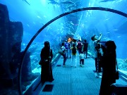 026  Dubai Mall Aquarium.JPG